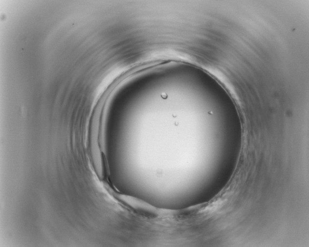 X0000088910815200706291528