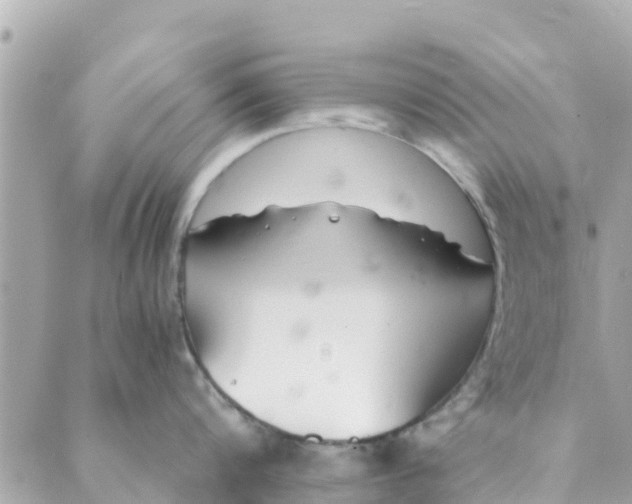 X0000088910816200706291528