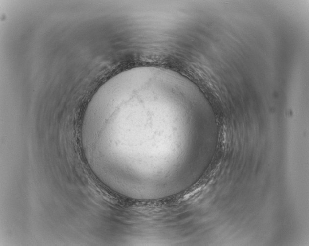 X0000088910817200706291527