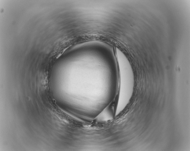 X0000088910818200706291527