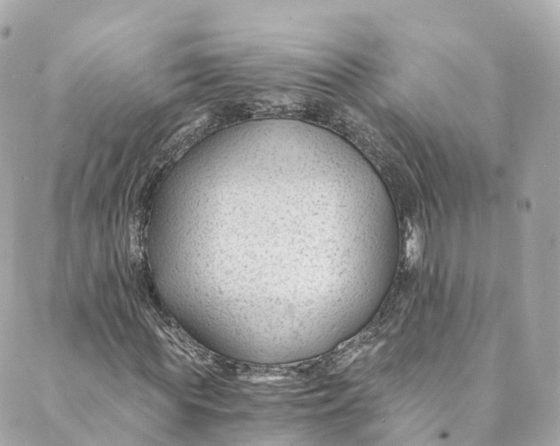 X0000088910819200706291527