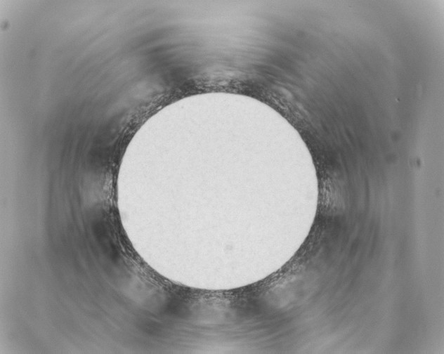 X0000088910820200706291527