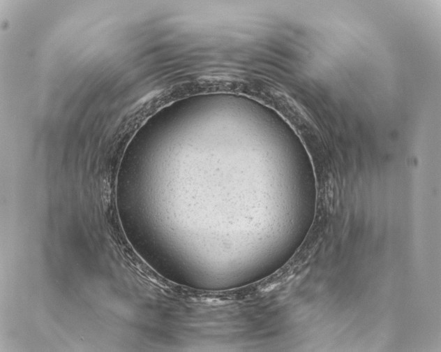 X0000088910821200706291527