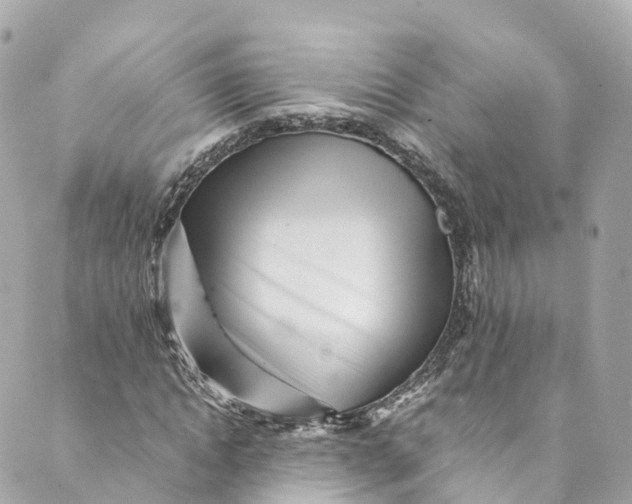 X0000088910822200706291527