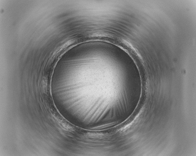 X0000088910825200706291527