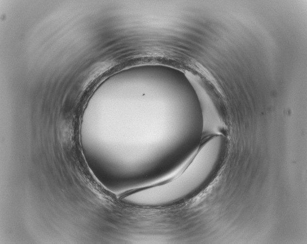 X0000088910826200706291527