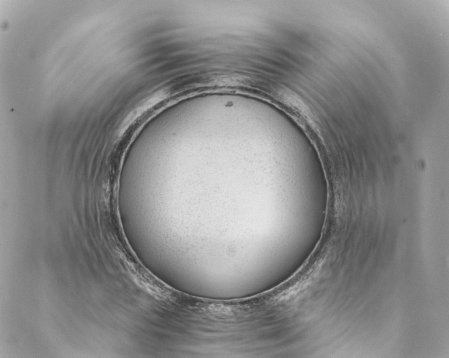 X0000088910827200706291527