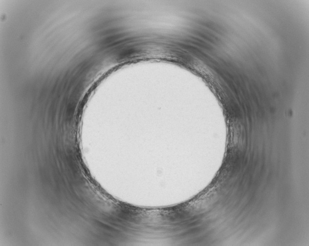 X0000088910828200706291527