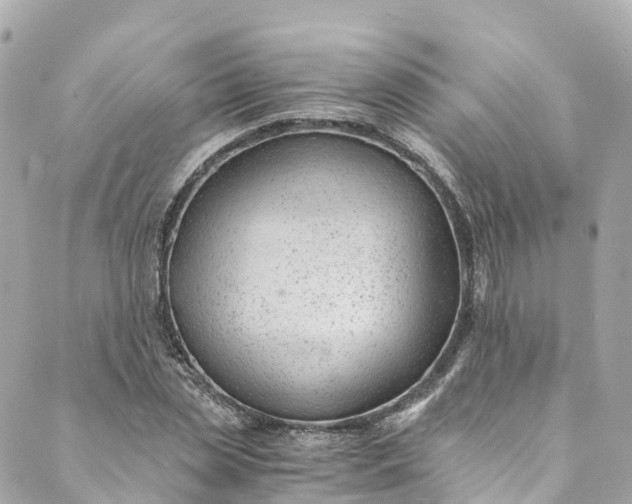 X0000088910829200706291527