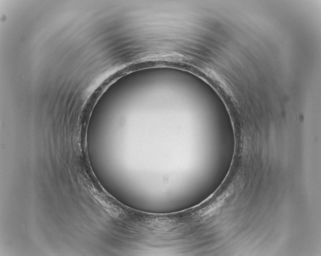 X0000088910830200706291527