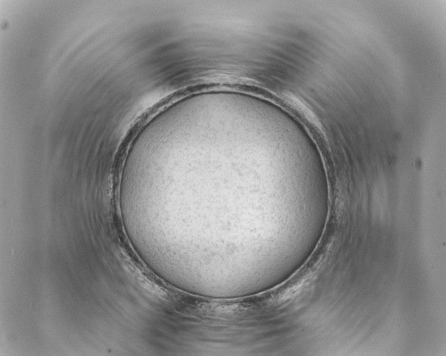 X0000088910831200706291527