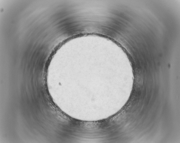 X0000088910832200706291527