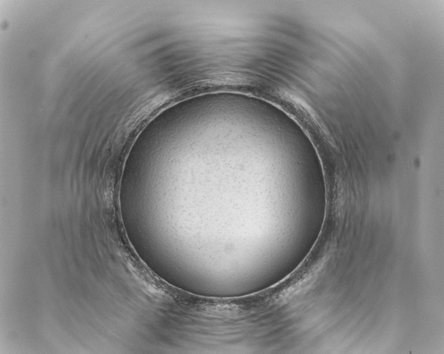 X0000088910833200706291527