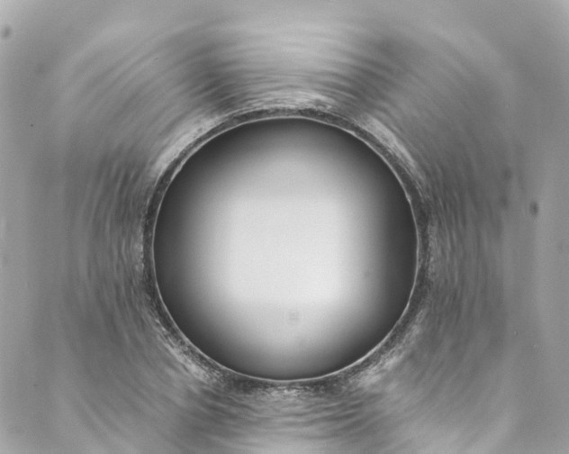 X0000088910834200706291527