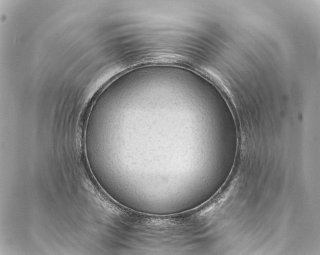 X0000088910835200706291527