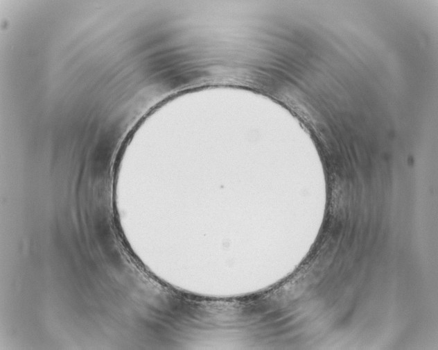 X0000088910836200706291527