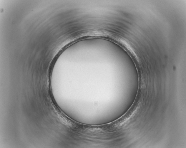 X0000088910837200706291527