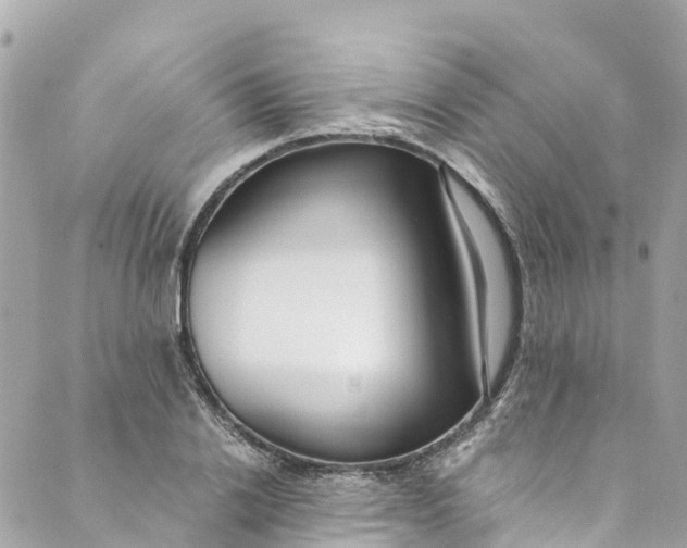 X0000088910838200706291527