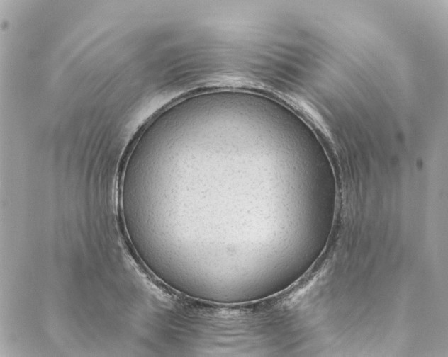 X0000088910839200706291527