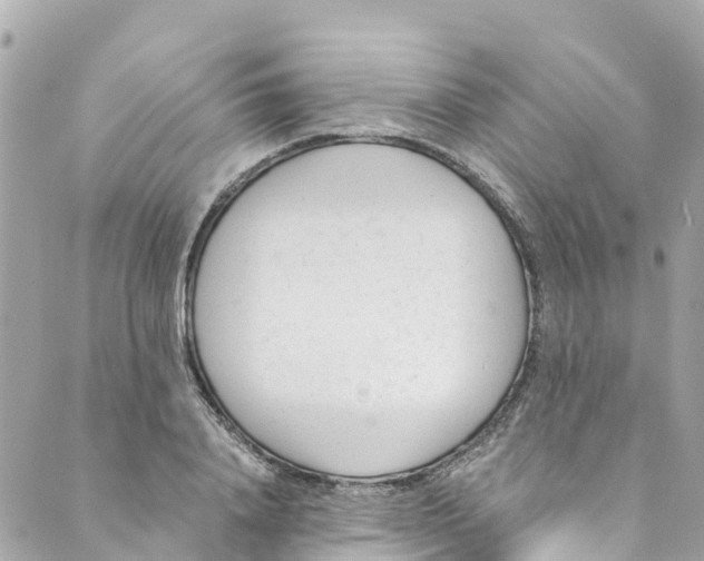 X0000088910840200706291527