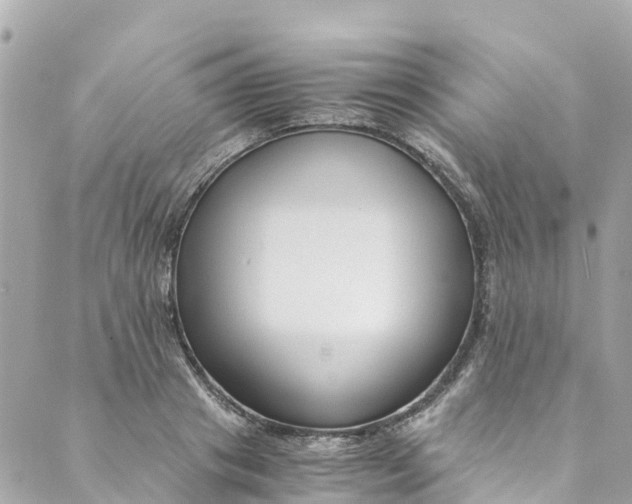 X0000088910841200706291527