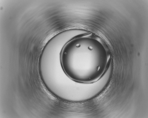 X0000088910842200706291527