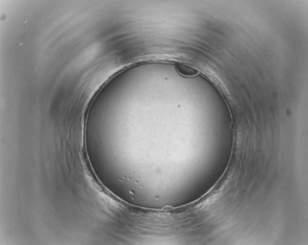 X0000088910844200706291527