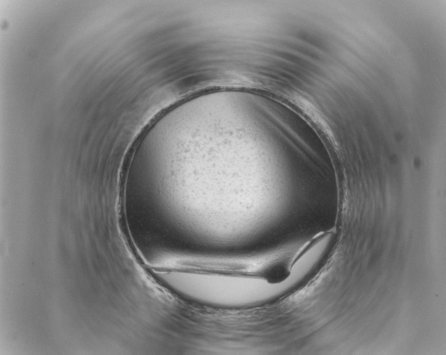 X0000088910845200706291527