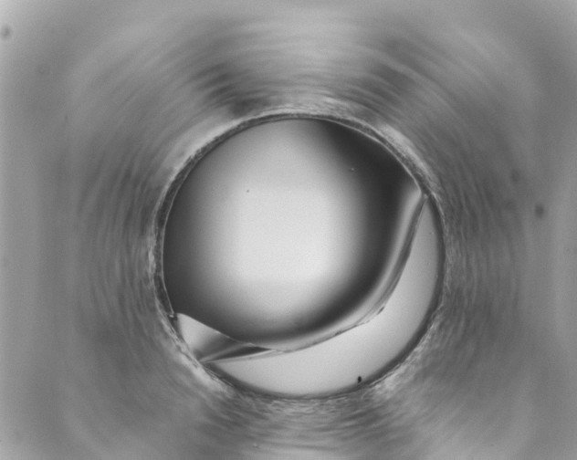 X0000088910846200706291527