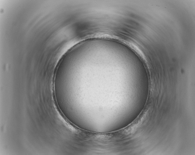 X0000088910847200706291527