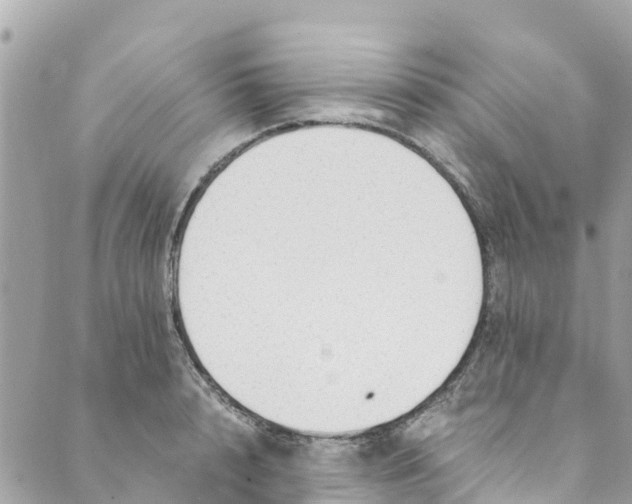 X0000088910848200706291527