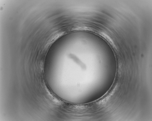 X0000088910849200706291527