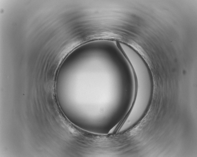 X0000088910850200706291527