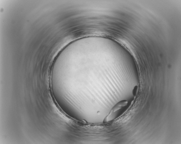 X0000088910851200706291527