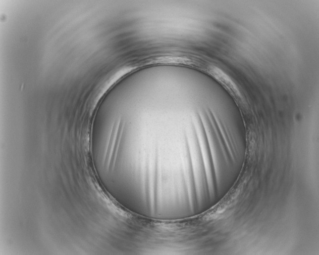 X0000088910852200706291527