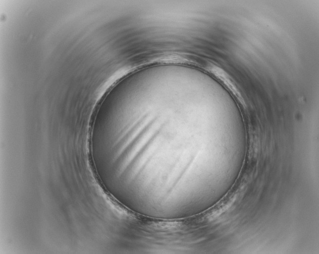 X0000088910853200706291528