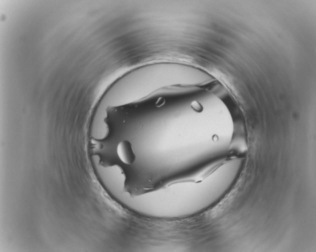 X0000088910854200706291528