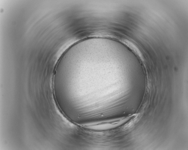 X0000088910855200706291528