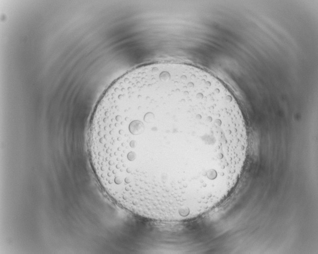 X0000088910856200706291528