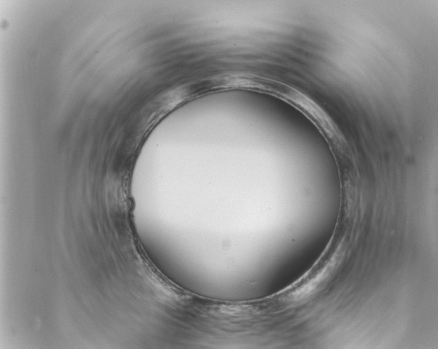 X0000088910857200706291528