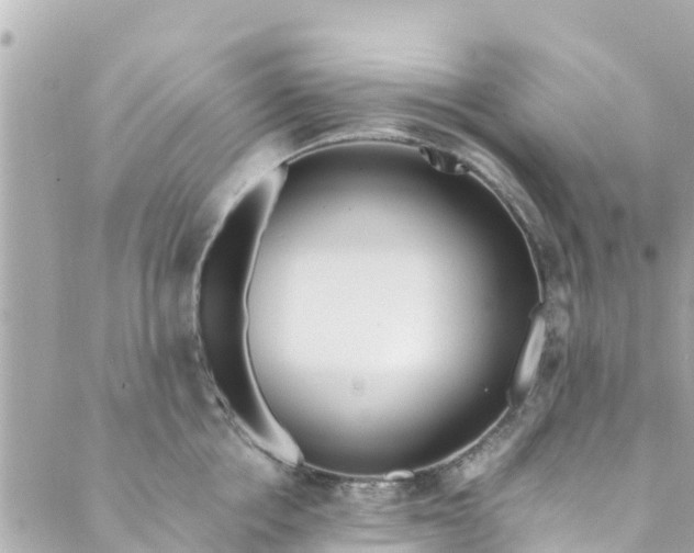 X0000088910858200706291528