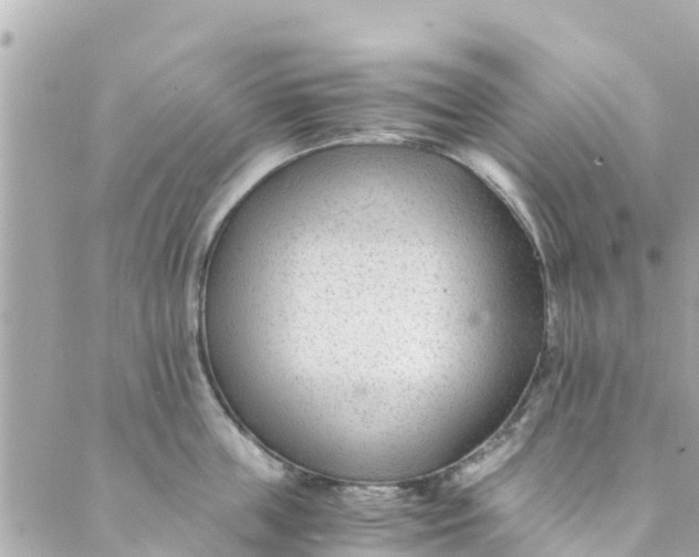 X0000088910859200706291528