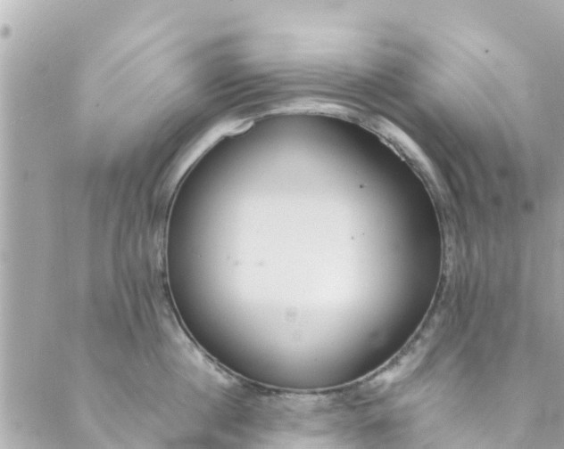 X0000088910860200706291528