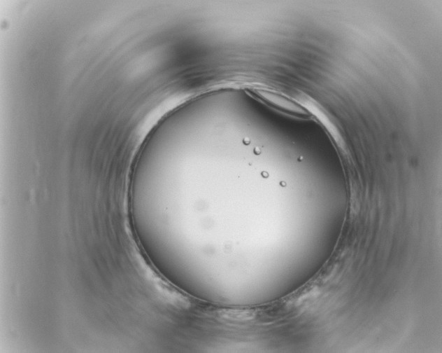 X0000088910861200706291528