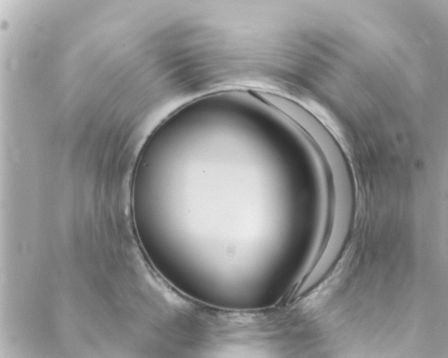 X0000088910862200706291528