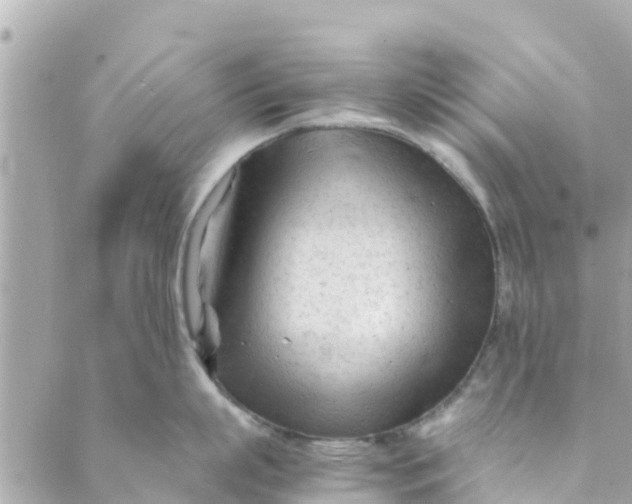 X0000088910863200706291528