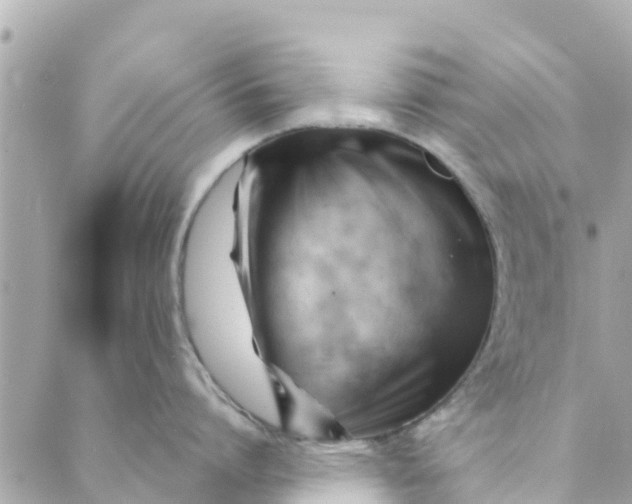 X0000088910864200706291528