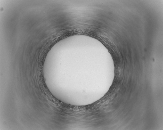 X0000088910865200706291527