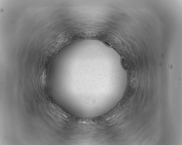 X0000088910866200706291527