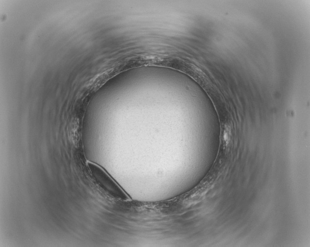 X0000088910867200706291527